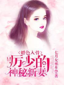 婚色入骨:厉少的神秘新妻