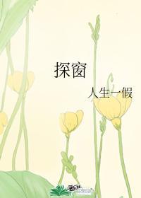 探窗