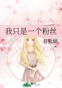 我只是一个粉丝