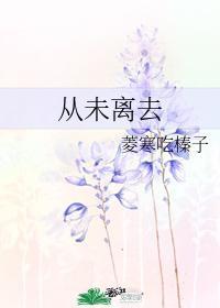 从未离去