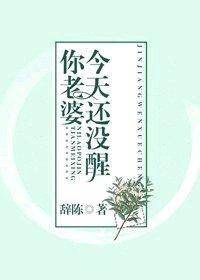 你老婆今天还没醒