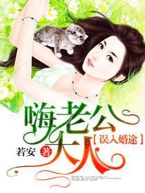 误入婚途:嗨,老公大人