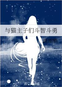 与猫主子们斗智斗勇