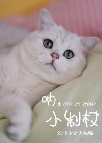 吶,小制杖