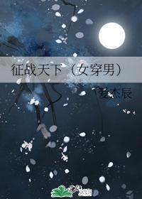 征战天下(女穿男)