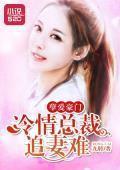 孽爱豪门:冷情总裁追妻难