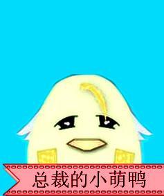 家有萌鸭