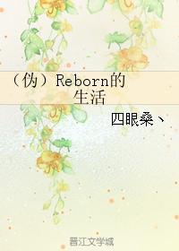 (伪)Reborn的生活