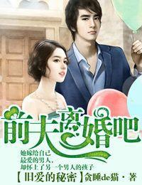 旧爱的秘密,前夫离婚吧!