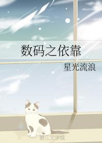 数码之依靠