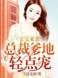宝宝来袭,总裁爹地轻点宠