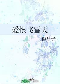 爱恨飞雪天