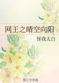网王之晴空向阳