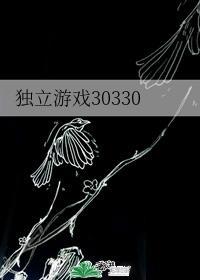 独立游戏30330