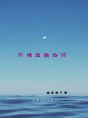 陈情之偷心贼