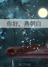你好,燕朝白