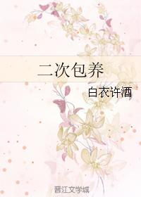二次包养