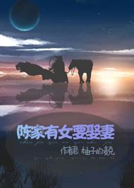 陈家有女要娶妻