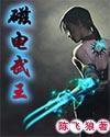 磁电武王
