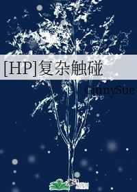 [HP]覆杂触碰