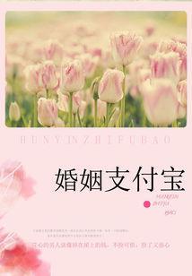 名门的秘密恋人:婚姻支付宝