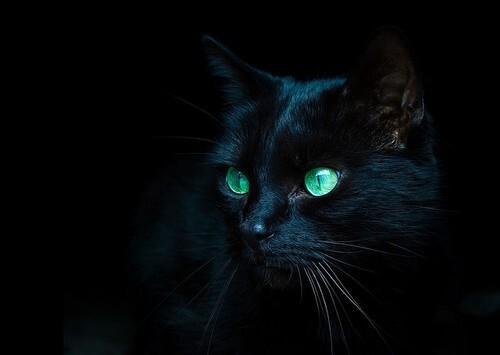 穿越之神魔爱