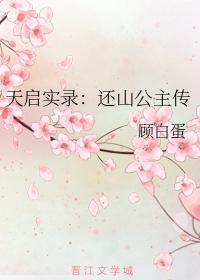 天启实录:还山公主传