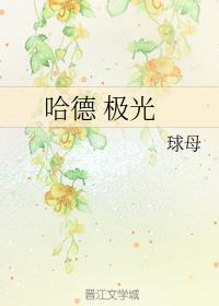 哈德 极光