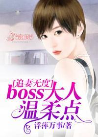 追妻无度：boss大人温柔点洛笑冉江璧丞