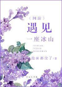 遇见一座冰山(网游)