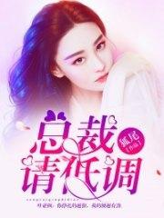 总裁请低调安筱桐叶亚枫