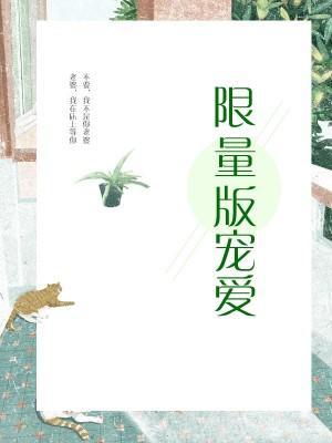 限量版宠爱