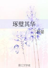 琢璧其华