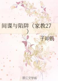 间谍与陷阱（家教27）