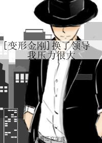 [变形金刚]换了领导我压力很大