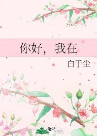 你好,我在