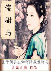 傻驸马gl