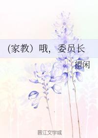 (家教）哦，委员长