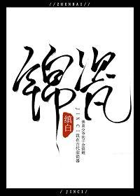 锦瓷