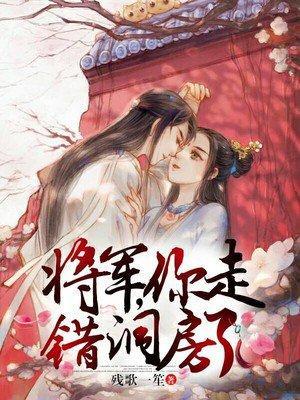 将军，你走错洞房了-残歌一笙