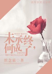 未承终，何成了