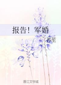 报告！军婚