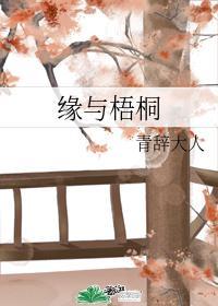 缘与梧桐