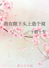 我在陛下头上造个窝