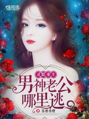 灵眼重生:男神老公哪里逃