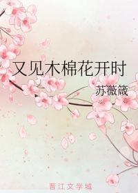 又见木棉花开时