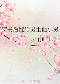 穿书后嫁给男主他小舅