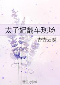 太子妃翻车现场