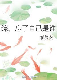 综,忘了自己是谁