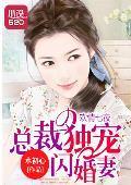 欢情七夜:总裁独宠闪婚妻
